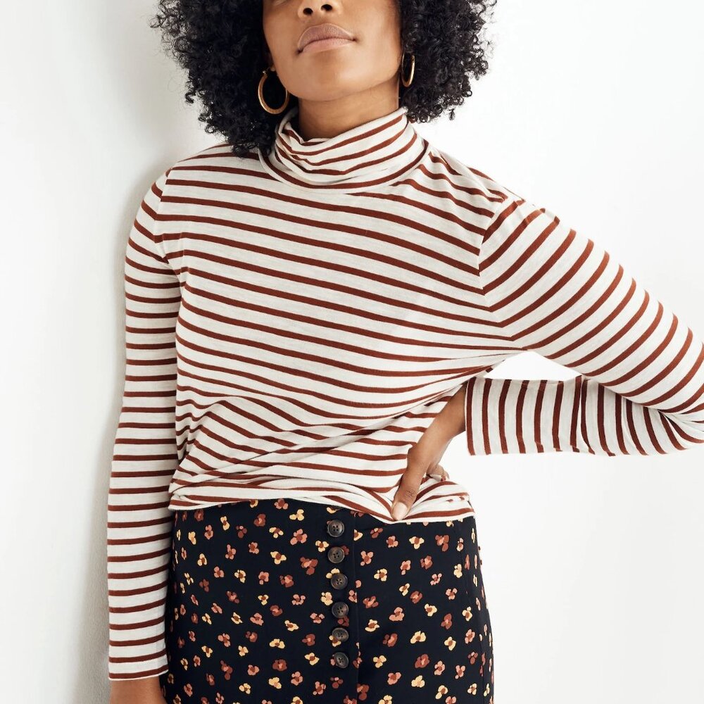 Whisper Cotton Turtleneck in Baker Stripe